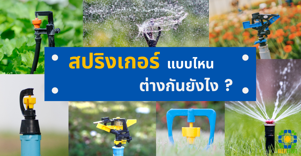 สปริงเกอร์มีกี่แบบ แบบไหน ต่างกันยังไง หลักๆ สปริงเกอร์แบ่งตามลักษณะการจ่ายน้ำและการีติดตั้ง