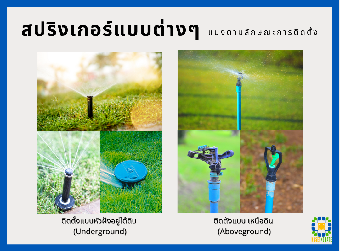 สปริงเกอร์ตามการติดตั้ง ฝังดิน เหนือดิน เช่น สปริงเกอร์ป๊อปอัพ (pop up) 